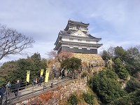 H蒅