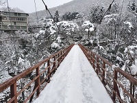 ݂̒苴
