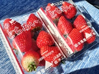 C`S