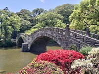 ȃA[`