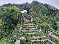 ʏ