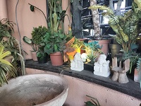 アジアンチック