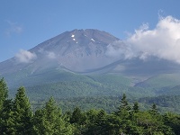 大きな富士山
