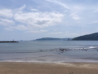 今日も海が綺麗だ