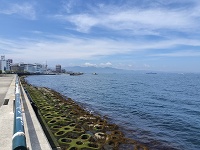 海の景色が見たくて