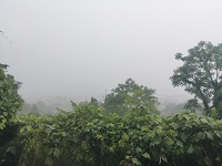 景色は見えない