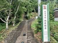 江戸時代のテーマパーク