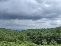 ちょっと雲行きが