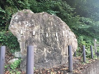 猫には見えない