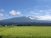 優美な鳥海山