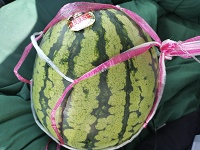 スイカをゲット