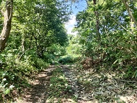 えっ？この道？