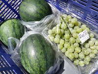 ようやくスイカゲット