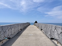 架け橋