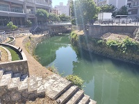 今日もブラブラ