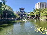 中華風の庭園