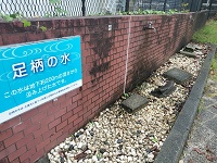 いざ東名道