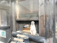 立ちすくむ