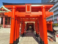 鳥居がいっぱい