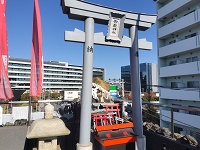 岩山の上には