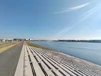 土手散歩