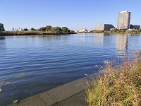 多摩川の河川敷
