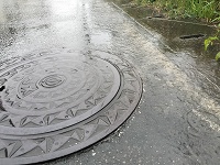 今日は雨